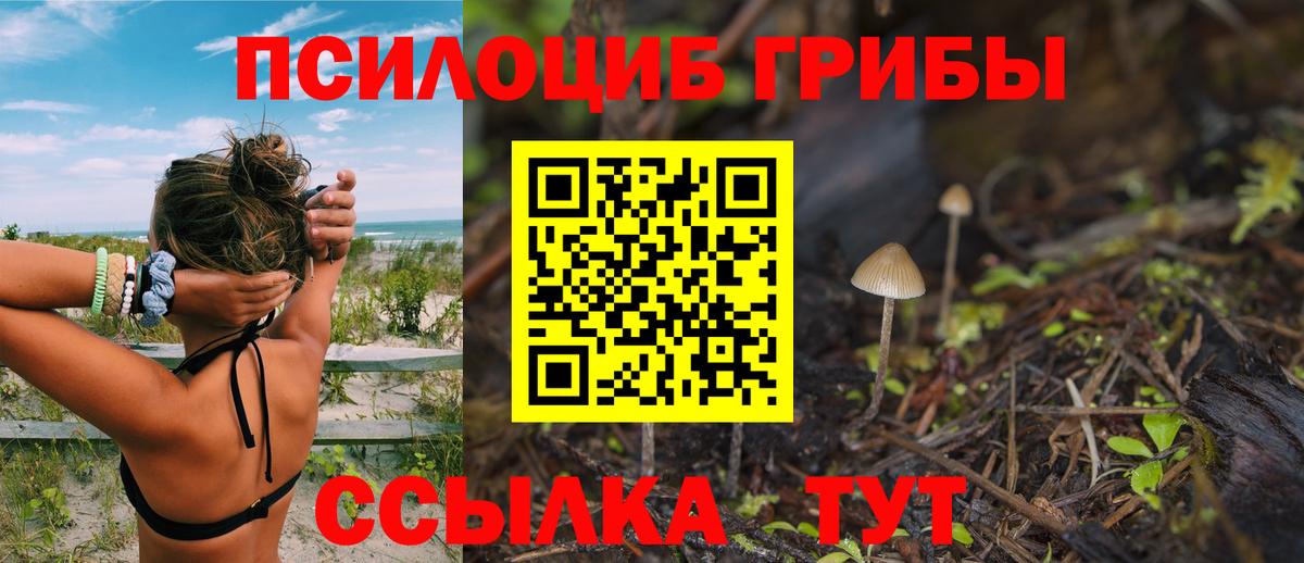 Псилоцибиновые грибы мухоморы Каменка