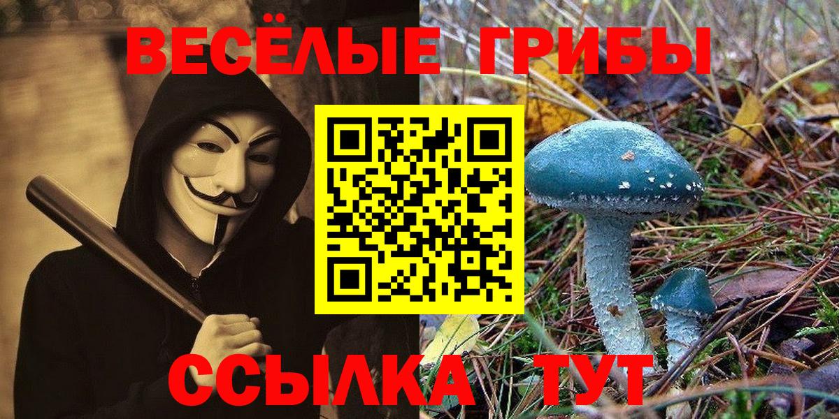 Каменка  Псилоцибиновые грибы GOLDEN TEACHER  Вход с VPN 